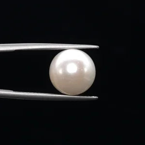 Pearl - 3598