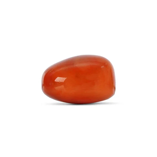 Red Coral - 4787