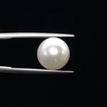 Pearl - 3616