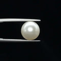 Pearl - 2742
