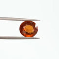Hessonite - 1149