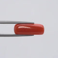 Red Coral - 286