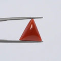 Red Coral - 3632