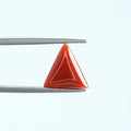 Red Coral - 1393