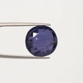 Iolite - 2877