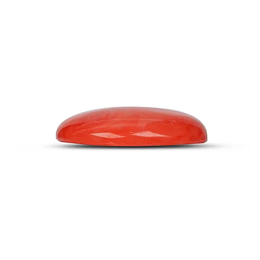 Red Coral - 5117
