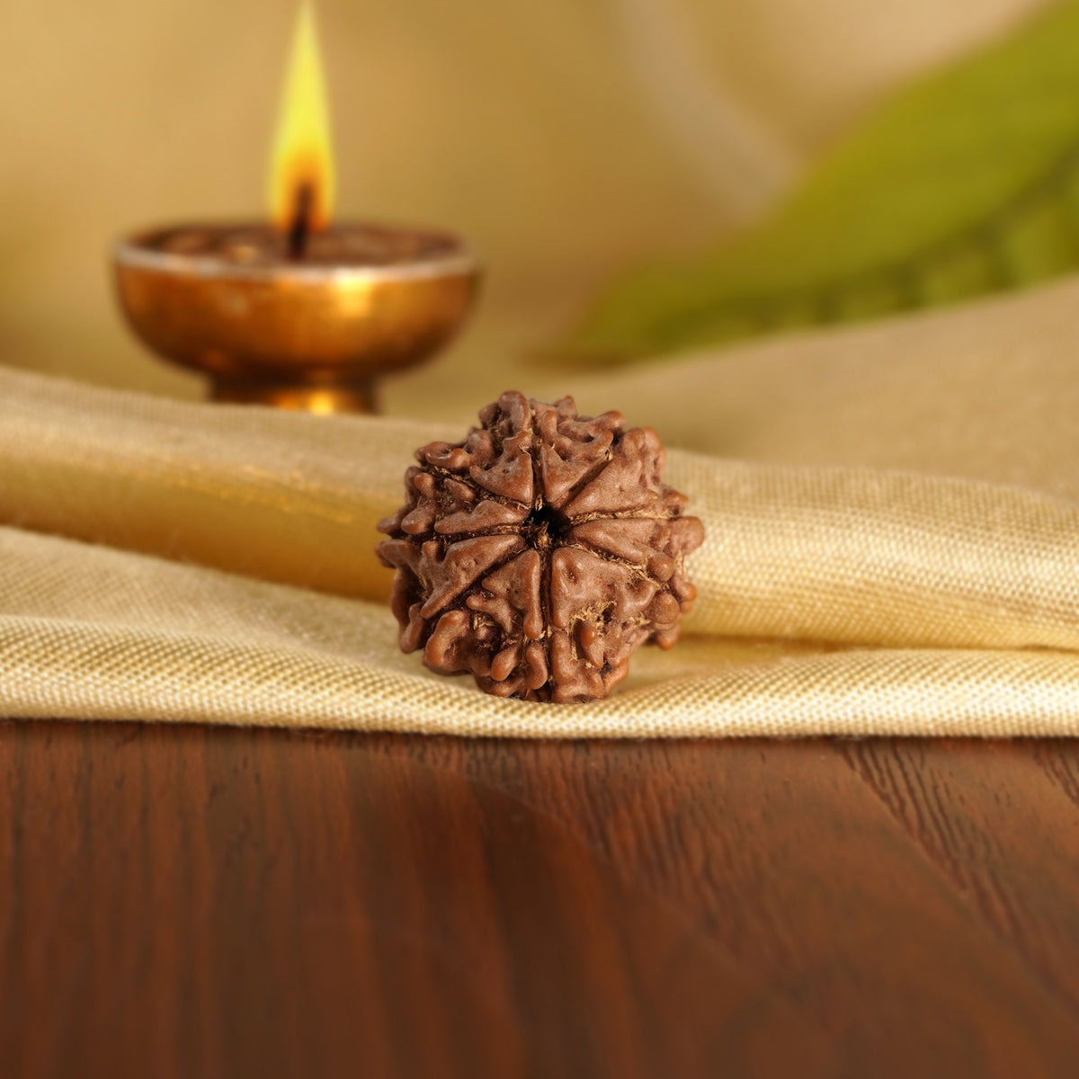 Front of the 8 Mukhi Rudraksha on silk beside a brass diya