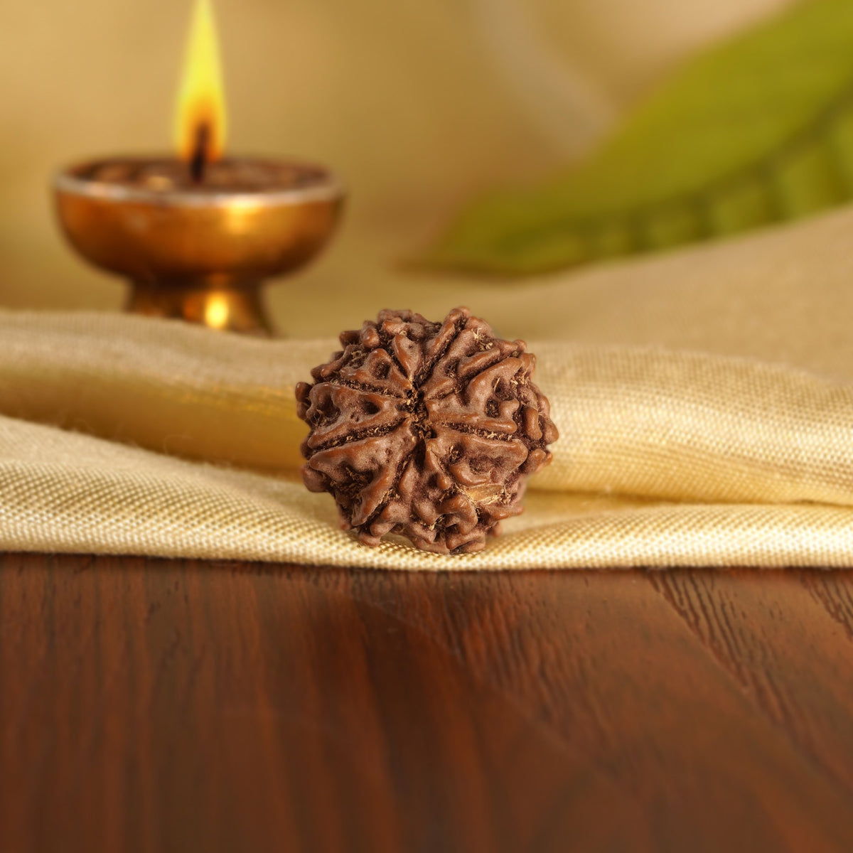 Back of the 8 Mukhi Rudraksha on silk