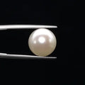Pearl - 3583