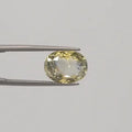 Pitambari Sapphire - 3108