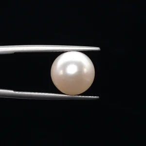 Pearl - 3595