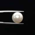 Pearl - 3602