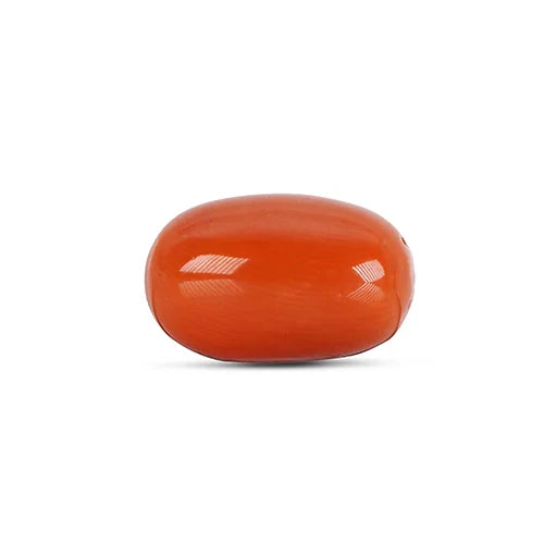 Red Coral - 4785