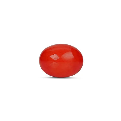 Red Coral - 5114