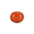 Red Coral - 4784