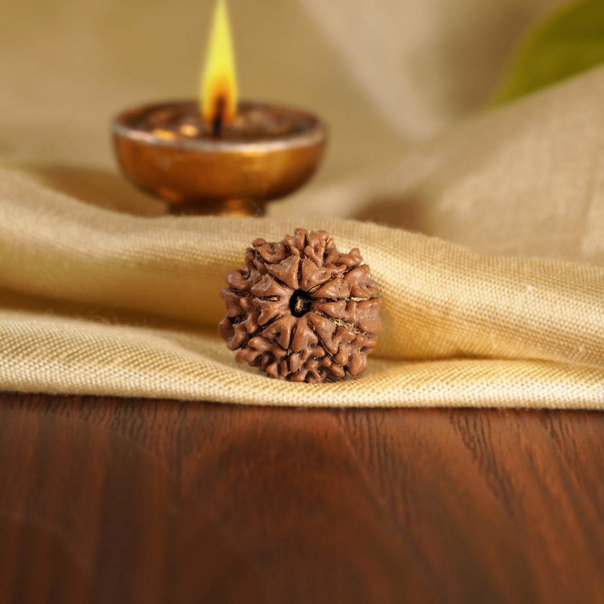 Front of the 9 Mukhi Rudraksha on silk beside a brass diya