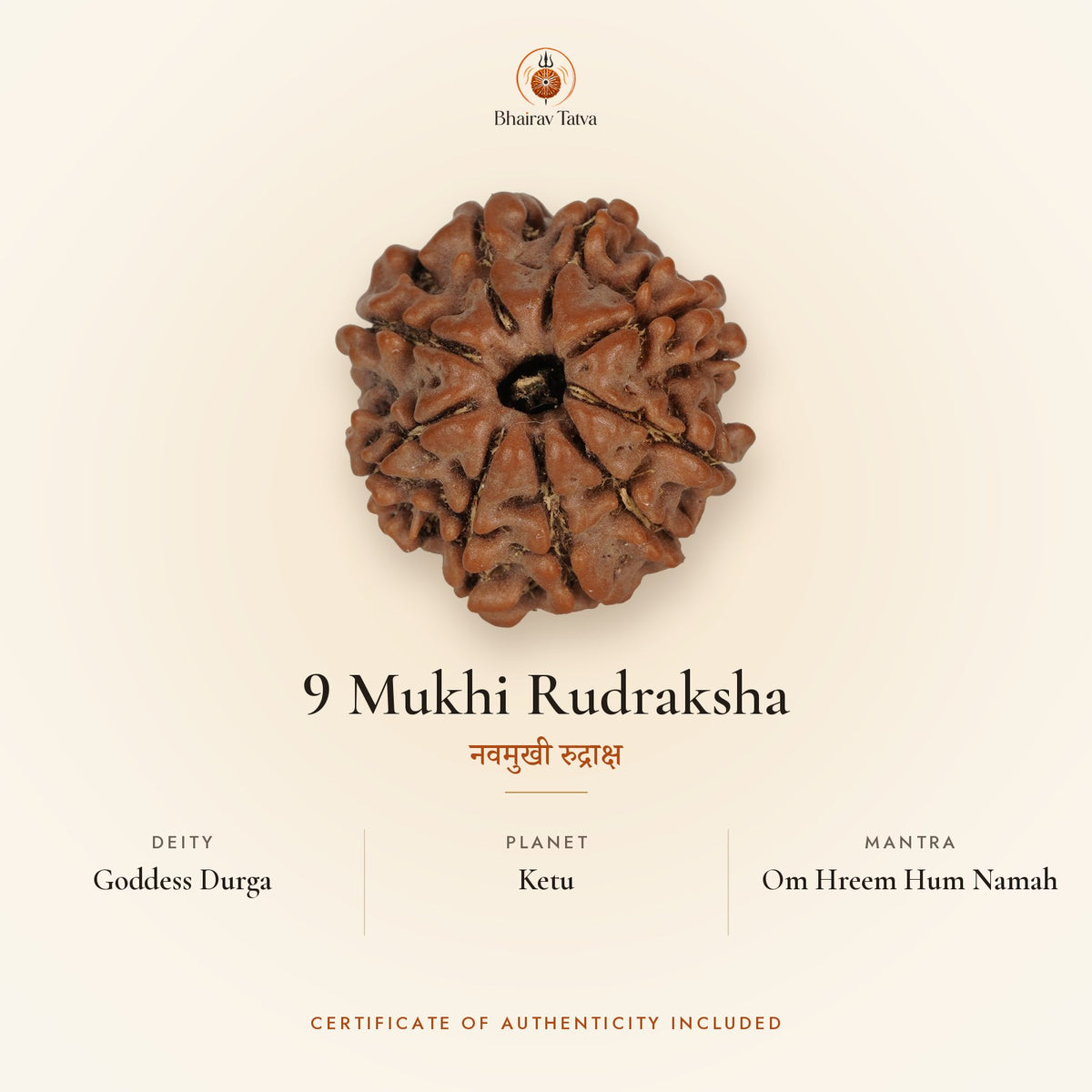 9 Mukhi Rudraksha: deity Goddess Durga, planet Ketu, mantra Om Hreem Hum Namah
