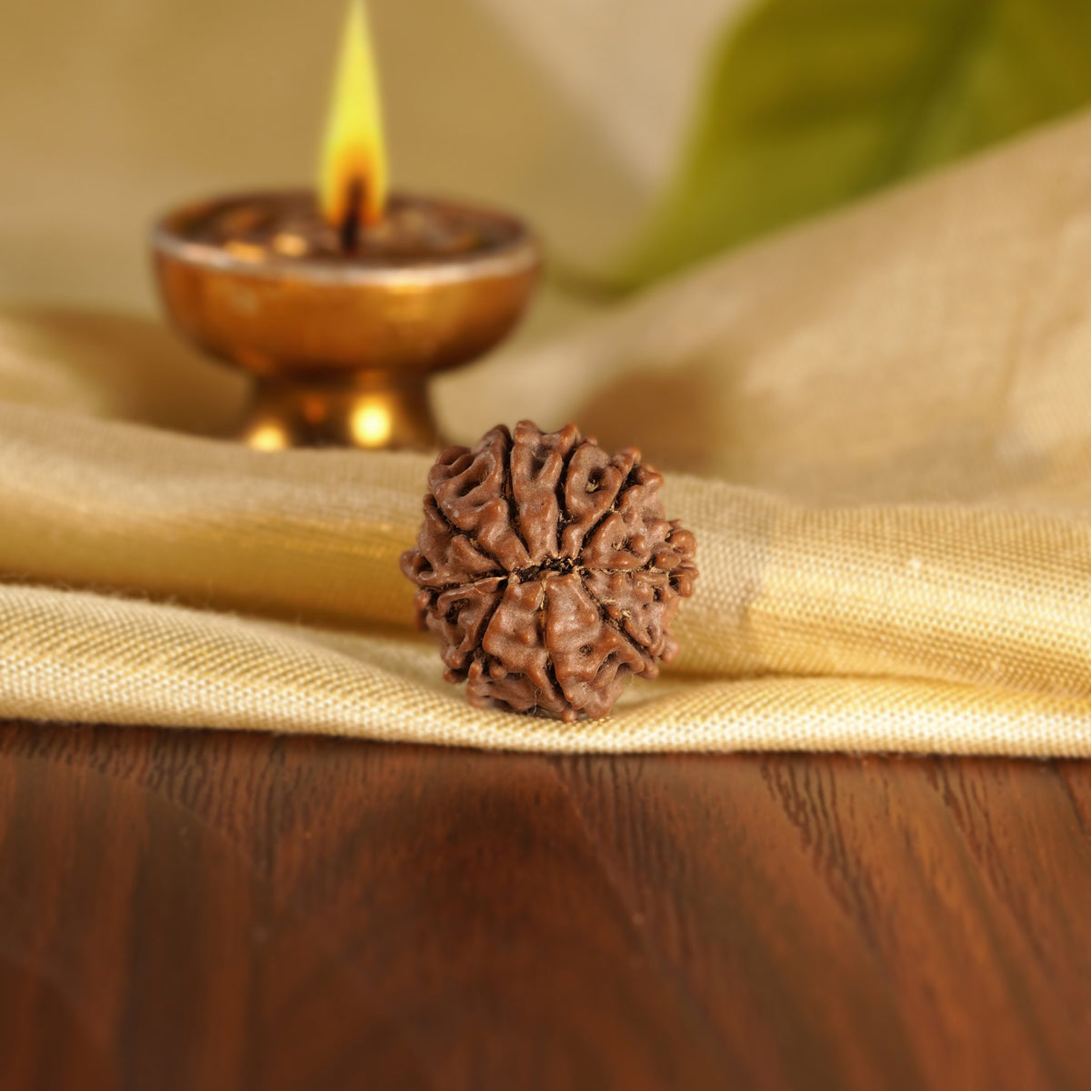 Back of the 9 Mukhi Rudraksha on silk