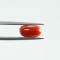 Red Coral - 352