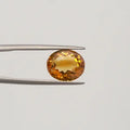 Citrine - 2974
