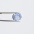Blue Sapphire - 1427