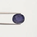 Iolite - 2884