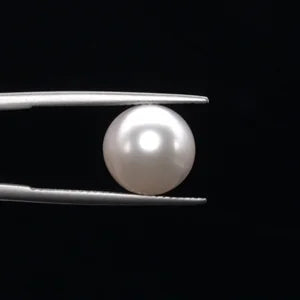 Pearl - 3607