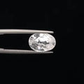 Zircon - 3204