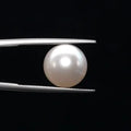 Pearl - 3584