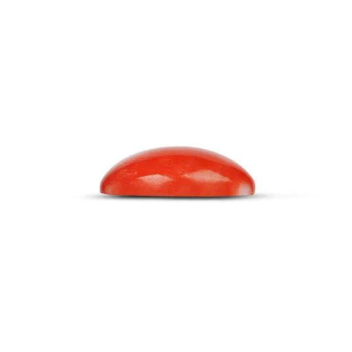 Red Coral - 5116