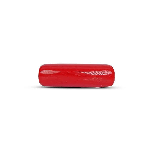 Red Coral - 5109