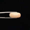 White Coral - 3247