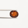 Hessonite - 1229