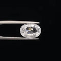 Zircon - 3175