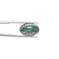 Turquoise - 3073