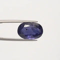 Iolite - 2879