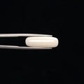 White Coral - 3256