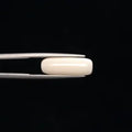 White Coral - 3261