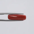 Red Coral - 1562