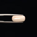 White Coral - 771
