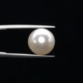Pearl - 3585