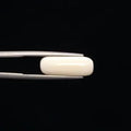 White Coral - 3262