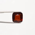 Hessonite - 1262