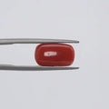 Red Coral - 1559