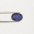 Iolite - 2887