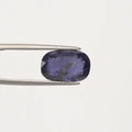 Iolite - 2951