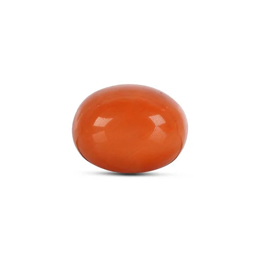 Red Coral - 4783