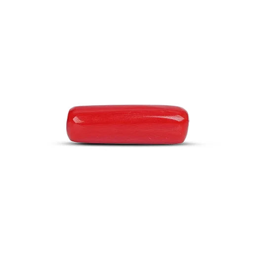 Red Coral - 5105