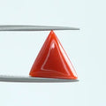Red Coral - 1380