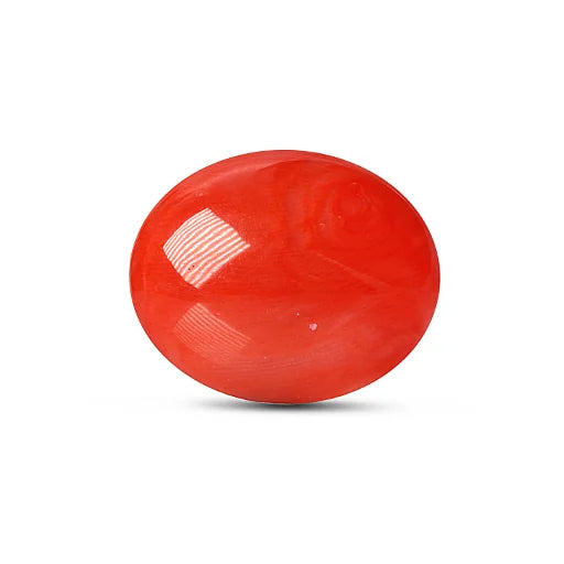 Red Coral - 5117